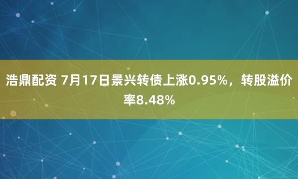 浩鼎配资 7月17日景兴转债上涨0.95%，转股溢价率8.48%